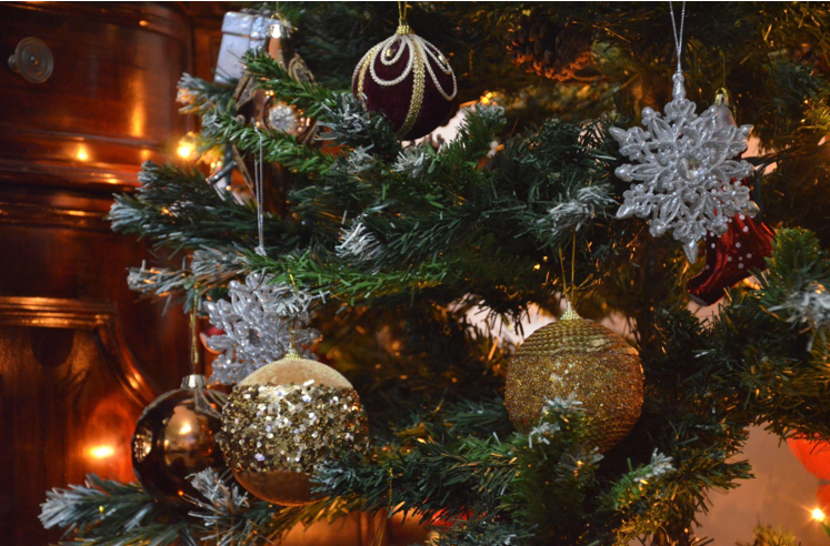 Charity Christmas Trees 